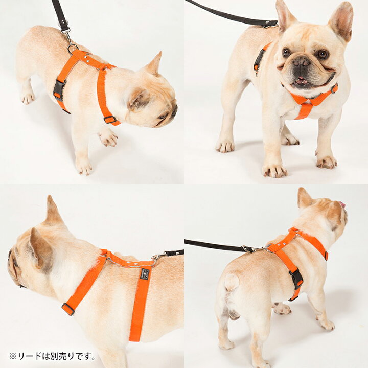 楽天市場 犬 ハーネス 胴輪 小型犬 中型犬 大型犬 抜けない 抜けにくい 負担が少ない 迷子防止 速乾素材で雨の日も安心 アウトドア 日本製 おしゃれ かわいい 名入れ可 カラフル ベーシック ベーシックハーネス スタンダードタイプ 犬猫の首輪店 すず首輪製作工房