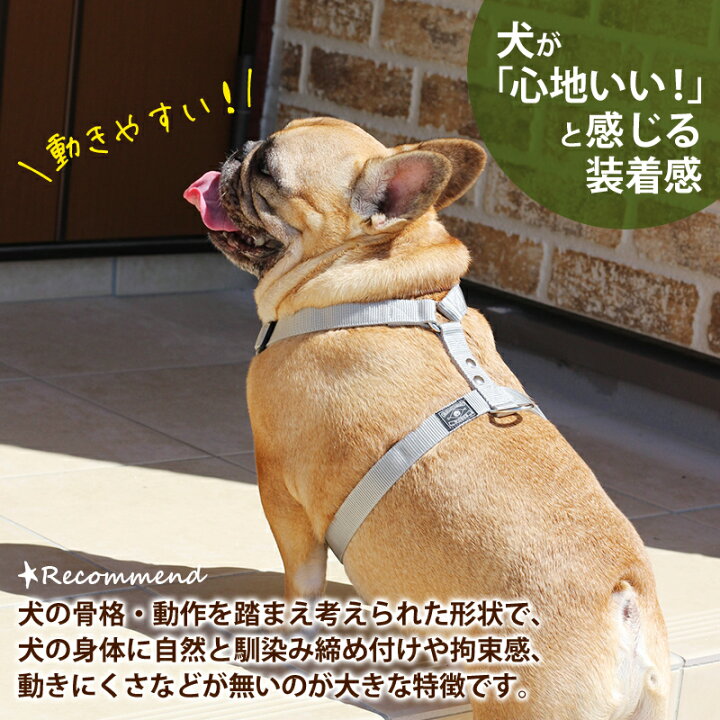 楽天市場 犬 ハーネス 胴輪 小型犬 中型犬 大型犬 抜けない 抜けにくい 負担が少ない 迷子防止 速乾素材で雨の日も安心 アウトドア 日本製 おしゃれ かわいい 名入れ可 カラフル ベーシック ベーシックハーネス スタンダードタイプ 犬猫の首輪店 すず首輪製作工房