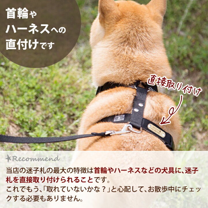 楽天市場 犬 首輪 ハーネス 迷子札 名前入り 名入れ ネームタグ 外れない 取付型 おしゃれ 日本製 革迷子札 レーザー焼印タイプ リード おうち首輪 猫首輪への取付不可 犬猫の首輪店 すず首輪製作工房