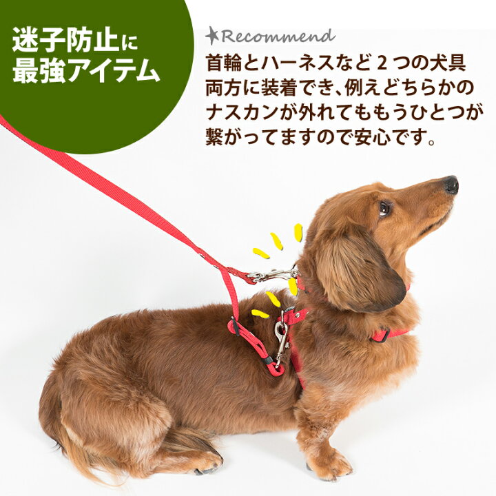 楽天市場 日本製 犬 リード ダブルリード 迷子防止 小型犬 中型犬 大型犬 日本製 多機能 雨の日用にも 速乾 おしゃれ かわいい カラフル ベーシック ダブルリード ふかふかハンドルパッド付き 犬猫の首輪店 すず首輪製作工房
