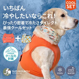 【セット限定400円OFF】犬 犬服 夏服 ひんやり 冷たい 接触冷感 クール クールネック クールバンダナ 小型犬 中型犬 大型犬 冷える 冷やす 保冷剤 おしゃれ かわいい 暑さ対策すず工房 SUZUKOUBOU2026アジャストクール クールネックセット【なめても安全な保冷剤付き】