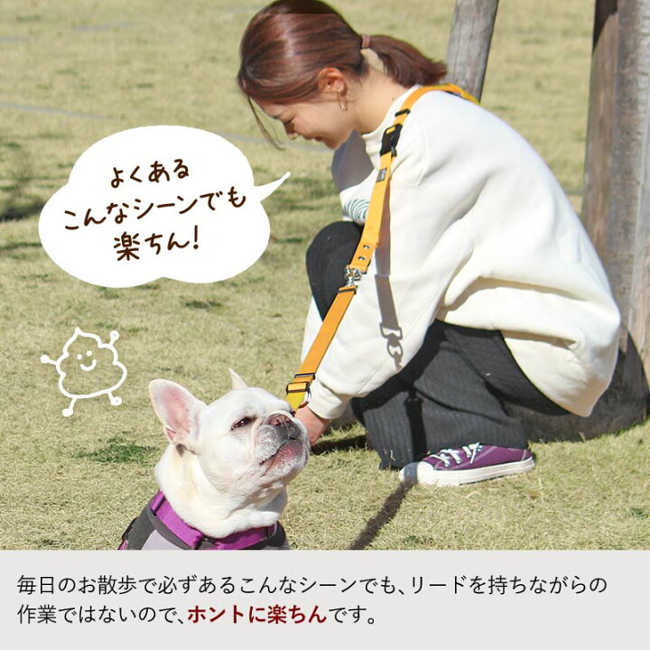 ペット 犬 1 3 M便 drsk おしゃれ お出かけ かわいい ギフト ゴールドパーツ ショルダーリード シンプル セット ナコル ハンズフリー ファッションリード プレゼント 上品 中型犬 刺繍 名入れ 小型犬 散歩 本革 犬の首輪 犬用 首輪 流行のアイテム 本革 ペット 犬 1 3 M便 drsk おしゃれ お出かけ かわいい ギフト ゴールドパーツ ショルダーリード シンプル セット ナコル ハンズフリー ファッションリード プレゼント 上品 中型犬 刺繍 名入れ 小型犬 散歩 本革 犬の首輪 犬用 首輪 流行のアイテム 本革