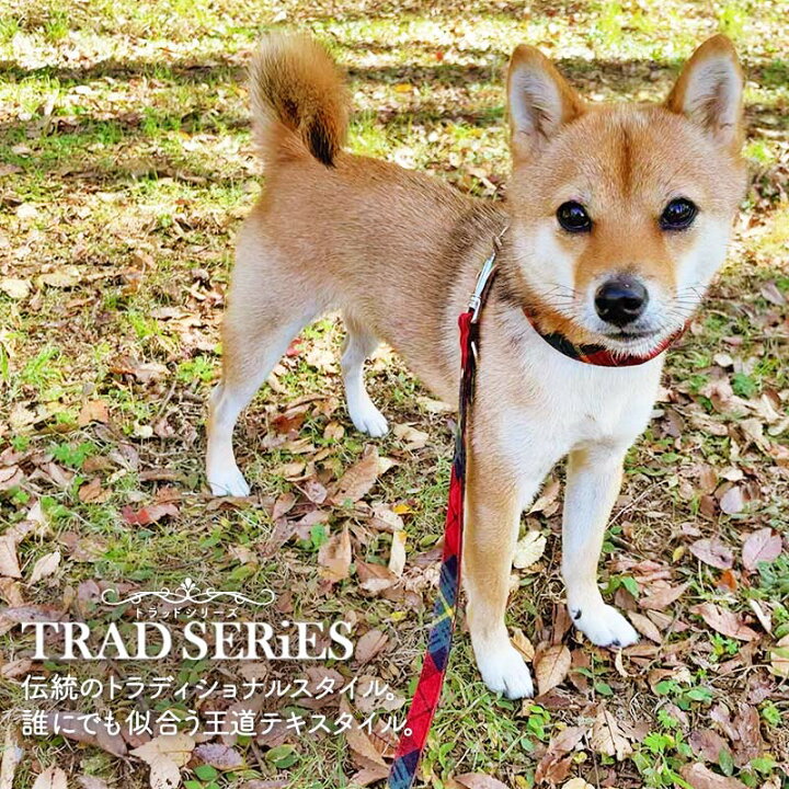 楽天市場 犬 首輪 小型犬 中型犬 大型犬 ダブルリング おしゃれ かわいい 日本製 名入れ可 迷子札 チェック タータンチェック ストライプ ボーダー バックル首輪 トラッド 犬猫の首輪店 すず首輪製作工房