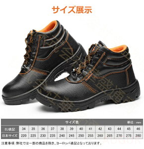 SC ƌC Ȃ Y fB[X   ZteB[V[Y SXj[J[ A[NV[Y c |c ܐK[h C ₷ Ȃ ϊ ݔ