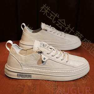 Xj[J[ Y fB[X jO V[Y X|[c [XAbv JWA jOV[Y ~  C t  H ʋC y d EH[LO WMO tB