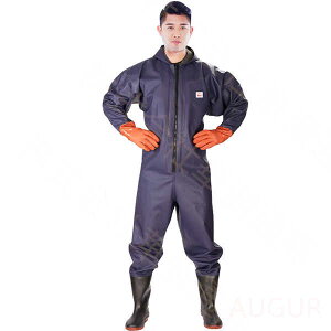 ނpC ƕ X fB[X h d ʋC tC  y H h | _ _  C l 傫TCY h Y ނ  Lx  Ղɋ 