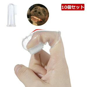 10Zbg uV wTbN wuV VR  L ^ ͂Ԃ炵 puV Ԃ炵 ybg oPA  ybgpuV LpuV L C ^ R L 