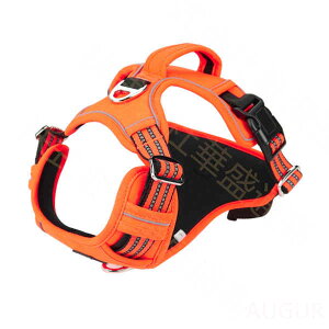 p ^ ^ ^ ˊOp xXg  p ȒPE ߉\ h~ U op vȕs⏕ S K yʉ g[jO Oo  