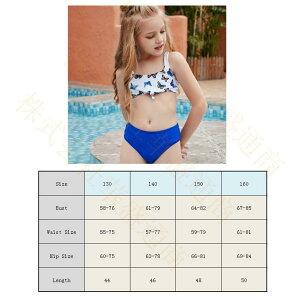  LbY Zbg q ̎q AbvEFA Vc q ~ZX ZNV[ fB[X  킢 ނ cp p  ~YM mizugi 90 80 70 킢 [