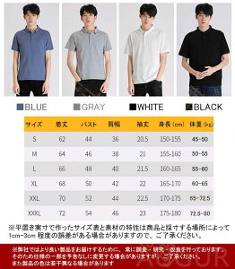 StEFA St| Y  POLO tVc Jbg\[ vg StEFA gbvX JWAVc Yt@bV t   ̓ Mtg   JWA 傫