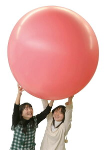 WCAg o[  bh a150cm  D