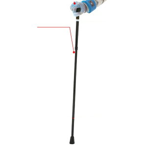 K~ ҋ[̌ ܂肽ݏ ʔi