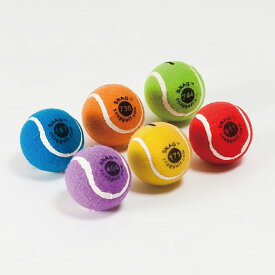 スナッグボール 6個パック スナッグゴルフ用品 SNAG GOLF