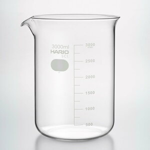�r�[�J�[ HARIO 3000mL �n���I�T�C�G���X