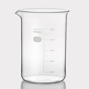 �r�[�J�[ HARIO 5000mL �n���I�T�C�G���X