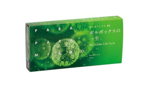 ナリカ ナリカ パラパラ 顕微鏡 写真 ぱらぱらミクロ ボルボックスの一生 S78-1790-16
