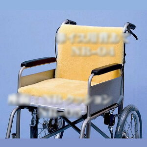 ԃCXp NRNbV NR-05 \h EBY