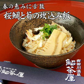 送料無料 桜鯛と筍の炊込み飯 3人前 米二合用冷凍 炊きご飯の素 タイ 鮎茶屋 和歌山 割烹料理 ギフト 入学 卒業 母の日 内祝い プレゼント 還暦祝い ハレの日 花見 祝宴 鯛めし秋の味覚 秋 旬 敬老の日 長寿祝い 父の日 お中元 お取り寄せ 取り寄せ 贈答 旬