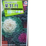 花種子 葉牡丹「かもめ混合」0.5ml（タキイ種苗）【送料込み】 葉ぼたん はぼたん 牡丹菜 ボタンナ 阿蘭…