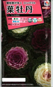 苗 葉牡丹 Diy 工具の人気商品 通販 価格比較 価格 Com