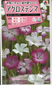 花種子　『タキイ種苗』　アグロステンマ　ラブリーミックス　1.5ml袋詰　【送料込み】