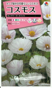 Ԏq RXXuJbvP[LzCgv 0.5mli^LCcj@y݁z