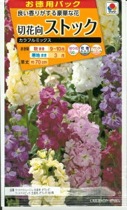 ypzԎq ؉ԌXgbNuJt~bNXv2mli^LCcjy݁z AZCgE 点Ƃ FST129