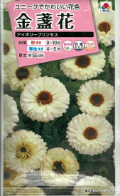 花種子【タキイ種苗】金盞花　アイボリープリンセス　3ml袋詰【送料込み】