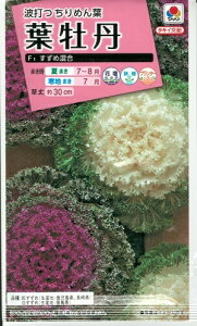 Ԏq tOuߍv@0.5mli^LCcj@y݁ztڂ^O؁^{^i^I_i