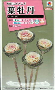 Ԏq tOui͂߁jv0.5mli^LCcj@y݁ztڂ^O؁^{^i^I_i