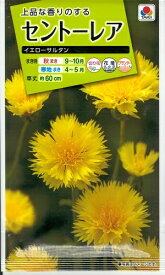 花種子　『タキイ種苗』　セントーレア　イエローサルタン　2ml袋詰　【送料込み】