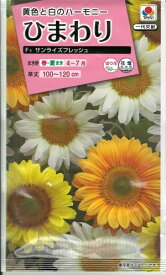 花種子　『タキイ種苗』　ひまわり　サンライズフレッシュ　2ml袋詰　約10本　【送料込み】