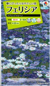 楽天市場 フェリシア ブルー 花 ガーデン Diy の通販