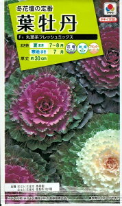 冬 花壇 花 種の人気商品 通販 価格比較 価格 Com