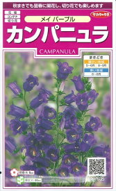 楽天市場 カンパニュラ 花 花 ガーデン Diy の通販 楽天市場 カンパニュラ 花 花 ガーデン Diy の通販