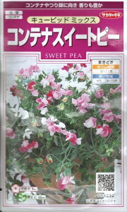 Ԏq ReiXC[gs[uL[sbh ~bNXv@2mli10{jiTJ^̃^lj@y݁zl氓 WREGhE 氓 JIGhE lA WRE\E