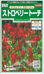 Ԏq Xgx[g[`uN] N[o[v@2mli150{jiTJ^̃^ljy݁zN]N[o[ ϊ