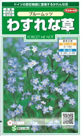 花種子 わすれな草「ブルームッツ」　0.2ml（約40本）（サカタのタネ）　【送料込み】勿忘草／ワスレナグサ／忘れな草