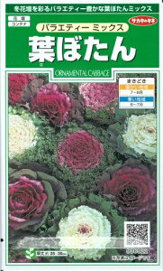 冬 花壇 花 種の人気商品 通販 価格比較 価格 Com