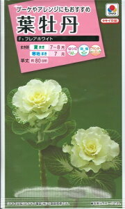 Ԏq tOutAzCgv 40i^LCcj@y݁ztڂ^O؁^{^i^I_i