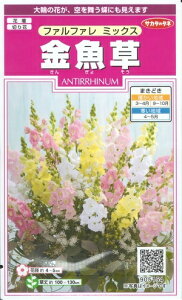 Ԏq ut@t@ ~bNXv@0.05mli60{jiTJ^̃^ljy݁z񂬂傻^LM\E^XibvhS^Aei