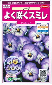 花種子 パンジー「よく咲くスミレ ソーダ」 40粒（サカタのタネ）　【送料込み】三色スミレ／サンシキスミレ／蝶遊花