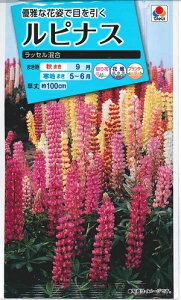 Ԏq siXubZv@2mli^LCcj@y݁zm{tW^^`tW^TJTtW^nE`}