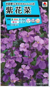 Ԏquԍ؁v 1.5mli^LCcjy݁z TLnii  VJcTC 厇 IIAZCgE ԑ卪 ni_CR FZZ383