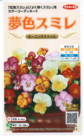 花種子 夢色スミレ「モ－ニングスマイル」　50粒（サカタのタネ）　【送料込み】