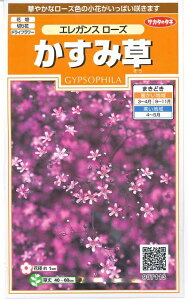 Ԏq ݑuGKX [Yv0.3mliTJ^̃^ljy݁zGKX[Y h VbRJX~\E Ԏq Wv\tB t܂ H܂ ϊ1N AJoiJX