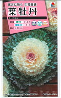 花種子 葉牡丹「白はと」0.5ml（タキイ種苗）【送料込み】 しろはと シロハト 葉ぼたん 牡丹菜 ボタンナ …