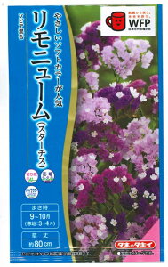 Ԏq j[u\sAv0.2mli^LCcjy݁znin}TW jE X^[`X FSU260