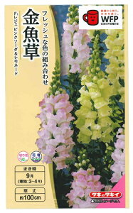 Ԏq uWFsN\[_l[hv 0.03mli^LCcjy݁z񂬂傻^LM\E^XibvhS^Aei