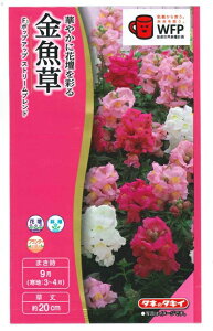 Ԏq u|bvAbv Xg[uhv0.03mli^LCcjy݁zLM\E^XibvhS^Aei